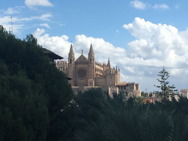 Palma de Mallorca: Guided Tour of the Old Town - Final Thoughts