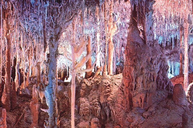Palma de Mallorca Half-Day to Caves of Hams, Blue Cave and film - FAQs About the Tour
