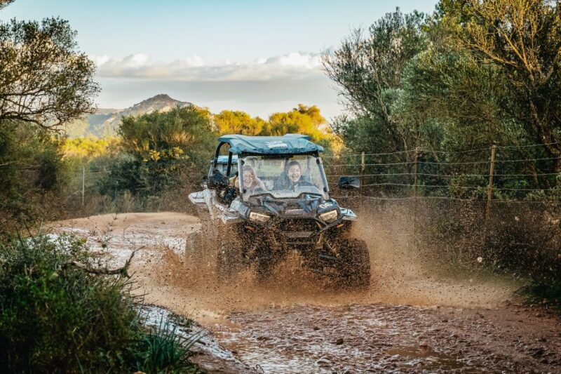 Palma de Mallorca: Off/On Road Buggy Tour with 2 or 4 Seater - Frequently Asked Questions