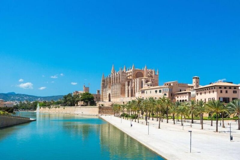 Palma de Mallorca: Private Custom Tour with a Local Guide - What Guides and Participants Say