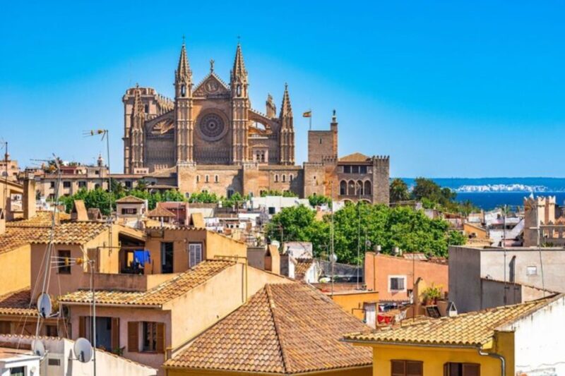 Palma de Mallorca: Private custom tour with a local guide - Wrapping It Up