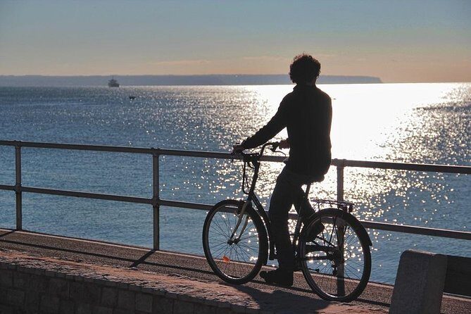 Palma de Mallorca Shore Excursion Bike Tour (Transfer Included) - What Travelers Say