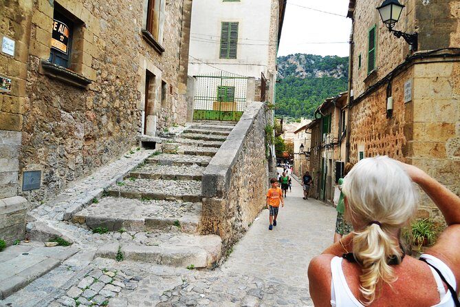 Palma de Mallorca Shore Excursion: Private Tour of Valldemossa, Soller and Serra de Tramuntana - The Experience in Numbers