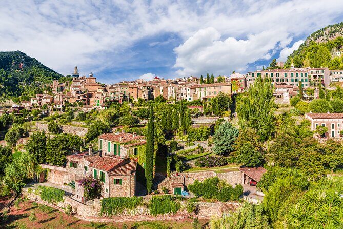 Palma de Mallorca Shore Excursion: Private Tour of Valldemossa, Soller and Serra de Tramuntana - Frequently Asked Questions