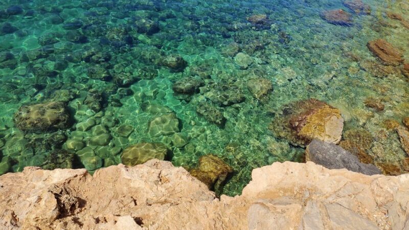 Palma de Mallorca: SmallGroup Tour by Locals in Hidden Coves - Cost and Value