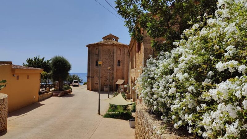 Palma de Mallorca: SmallGroup Tour by Locals in Hidden Coves - Final Thoughts