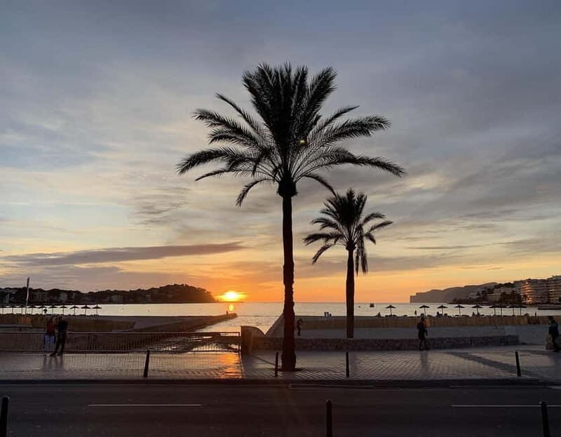 Palma: Electric Mountain Adventure: Ride Higher, Go Farther! - Exploring Mallorca’s Hidden Side on an Electric Mountain Bike