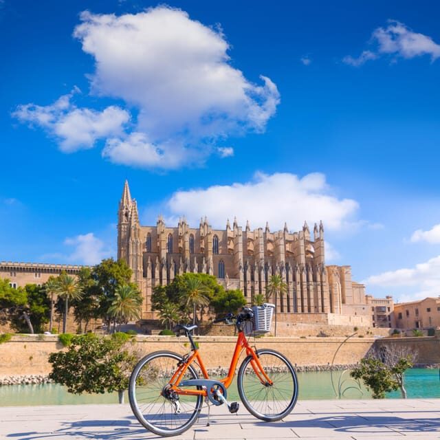 Palma: Express Walk with a Local in 60 minutes - Final Thoughts