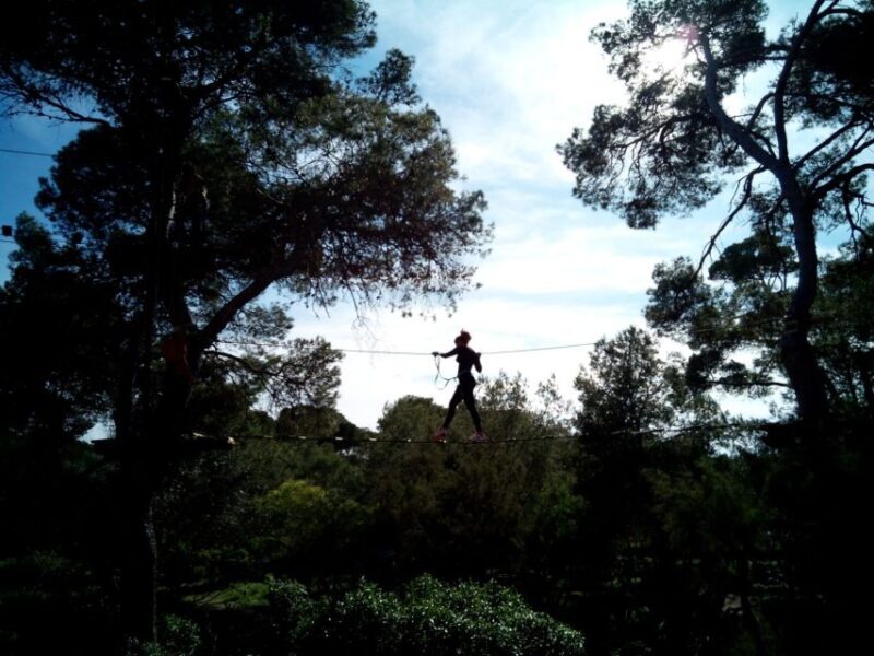 Palma: Family or Sports Course Adventure at Forestal Park - Exploring the Experience at Forestal Park Mallorca