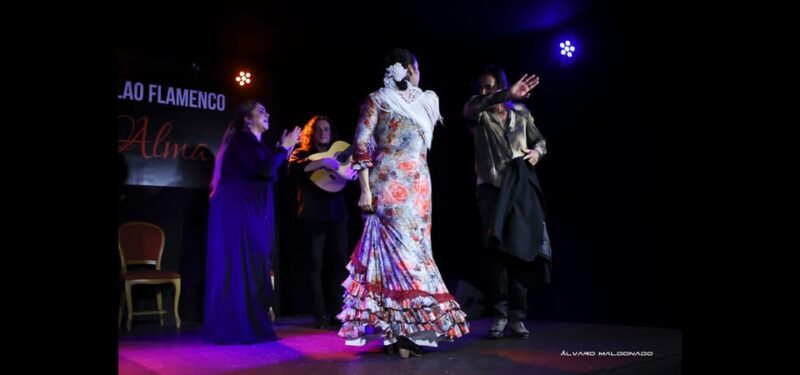 Palma: Flamenco Show at Tablao Flamenco Alma with Drink - Key Points