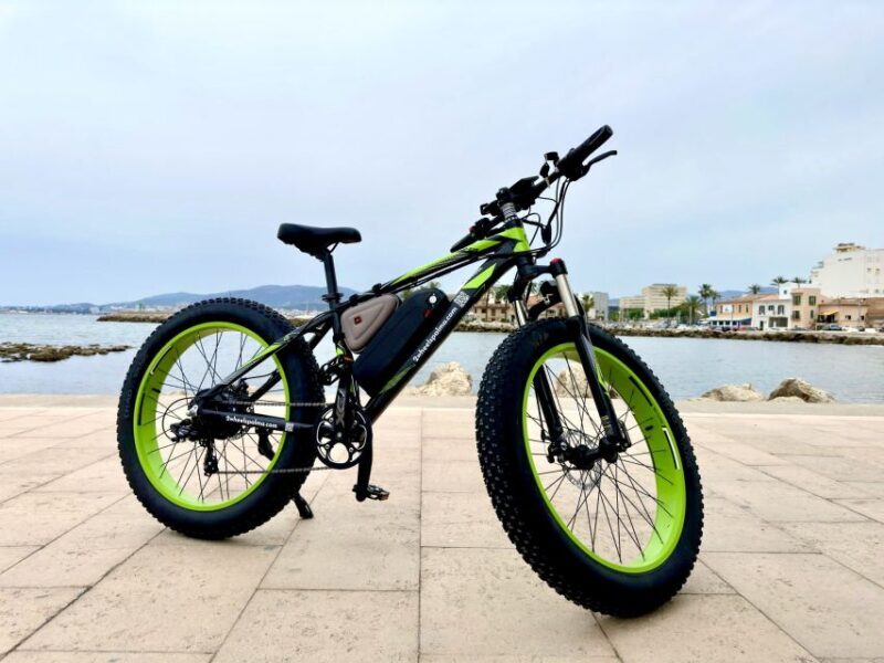 Palma: Guided City Tour with a Fat Tire E-Bike - Exploring the Tour Itself