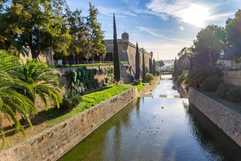 Palma: Old Town Guided Tour with Cathedral Skip-the-Line - The Sum Up