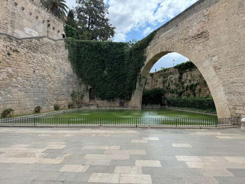 Palma Shore Excursion Bike Tour (Transfer Included) - Key Points