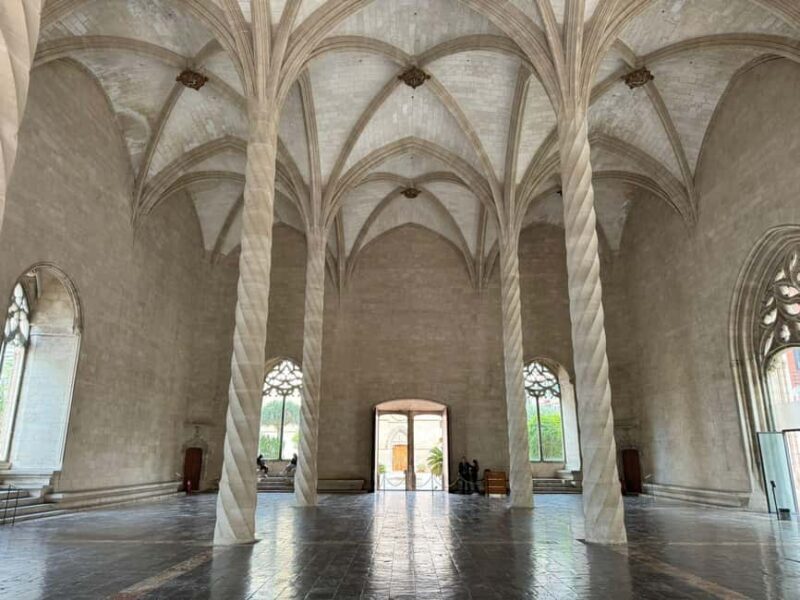 Palma Shore Excursion Bike Tour (Transfer Included) - Why This Tour Works Well