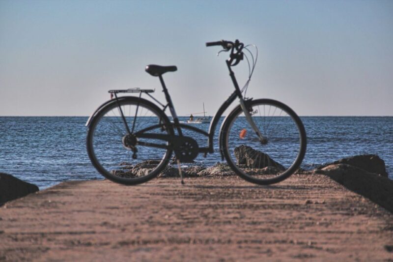 Palma Shore Excursion Bike Tour (Transfer Included) - Who Will Enjoy This Tour?