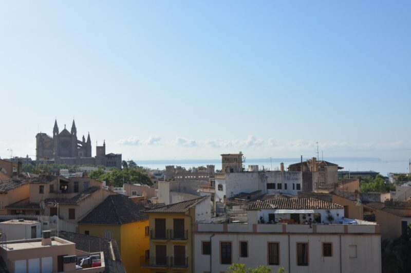 Palma Shore Excursion Bike Tour (Transfer Included) - Final Thoughts