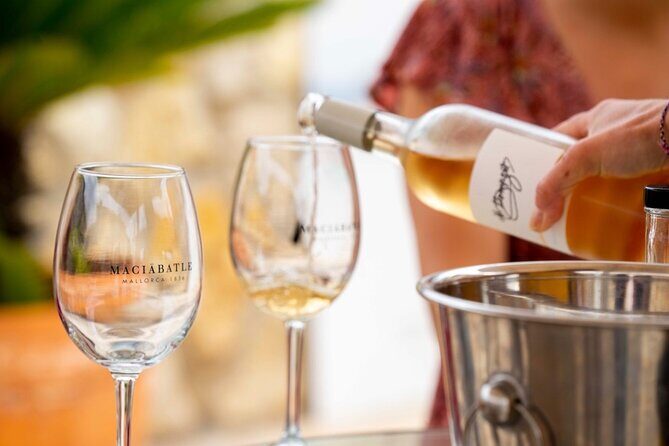 Palma Tapas Tour- The Original! - Final Thoughts