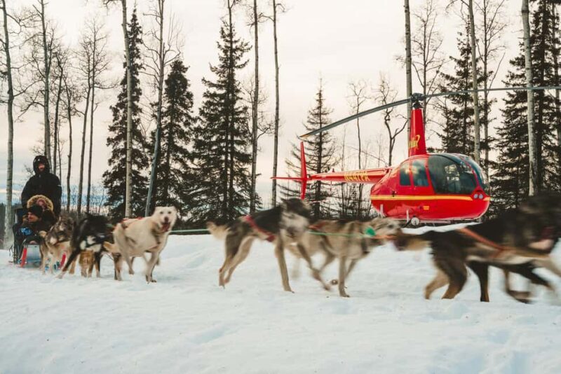 Palmer: "Dogs and Glaciers" Sledding and Helicopter Tour - Who Is This Tour For?