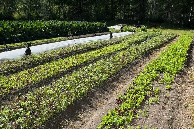 Palmer Farm Tour - Final Thoughts