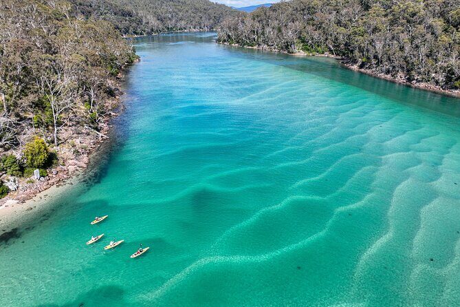 Pambula River Kayaking Tour - Final Thoughts: Who Should Consider This Tour?