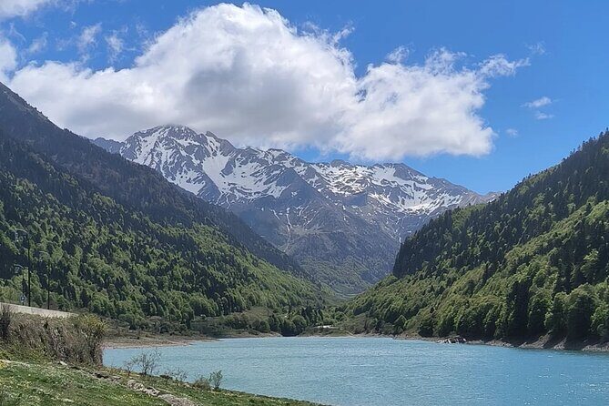 Pamplona de Bocado en Bocado: Join Our Pintxo Tour! - The Price and Value