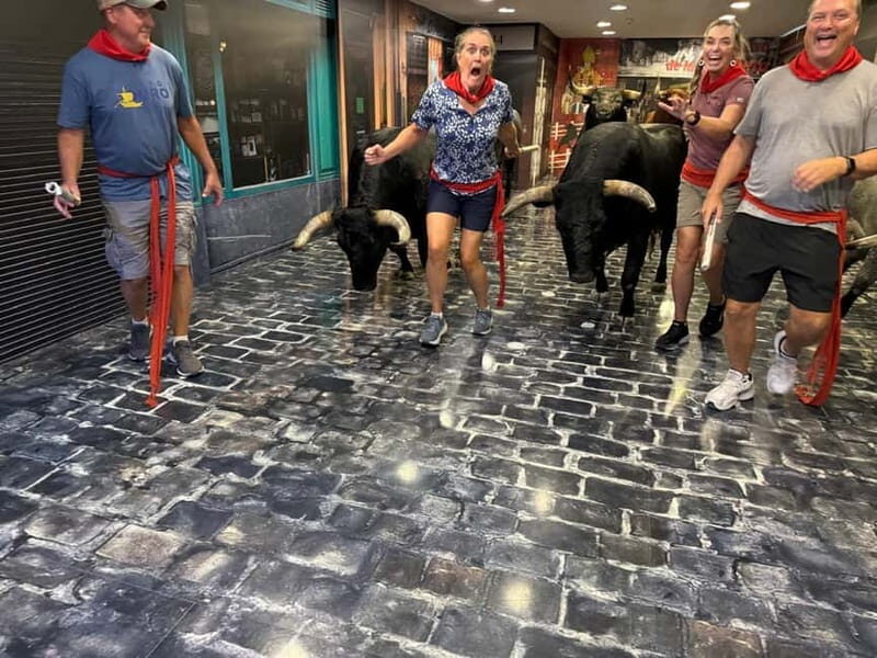Pamplona: Walking Tour and Photo Session with Bulls - The Practical Details and Value