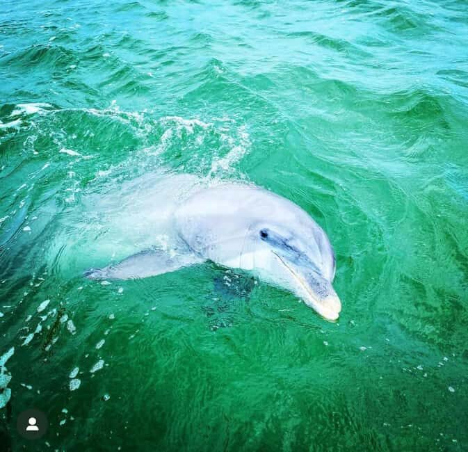 Panama City Beach: Deluxe Pontoon Rental with Shade - The Experience in Detail