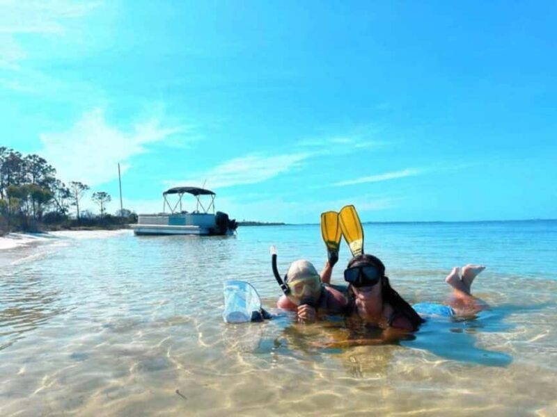 Panama City Beach: Dolphin Watching and Snorkeling Tour - What to Expect During the Tour