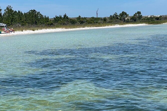 Panama City Beach Florida, Dolphin, Shell Island and Eco Tours - Key Points