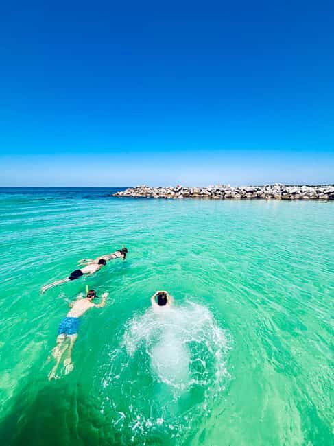 Panama City Beach: Snorkel Excursion with Good Jibez Only - What You Can Expect from This Snorkel Tour