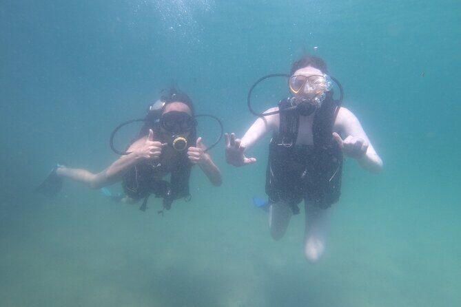 Panama City Scuba Diving Activity for Beginners - Who Should Consider This Tour?