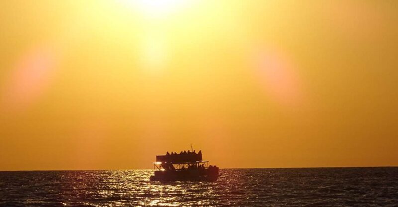 Panama City: Sunset Dolphin Cruise in St. Andrews Bay - A Detailed Look at the Sunset Dolphin Cruise Experience