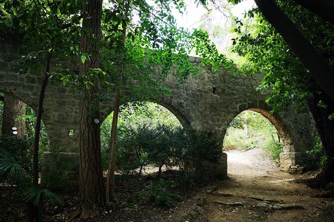 Panorama Dubrovnik & Arboretum Trsteno PRIVATE TOUR - Pricing and Value