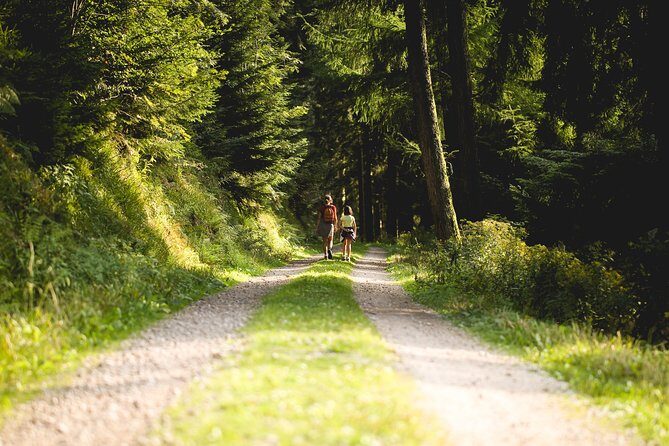 Panorama Hike through the Black Forest guided by a Local - Starting Point and Meeting Spot