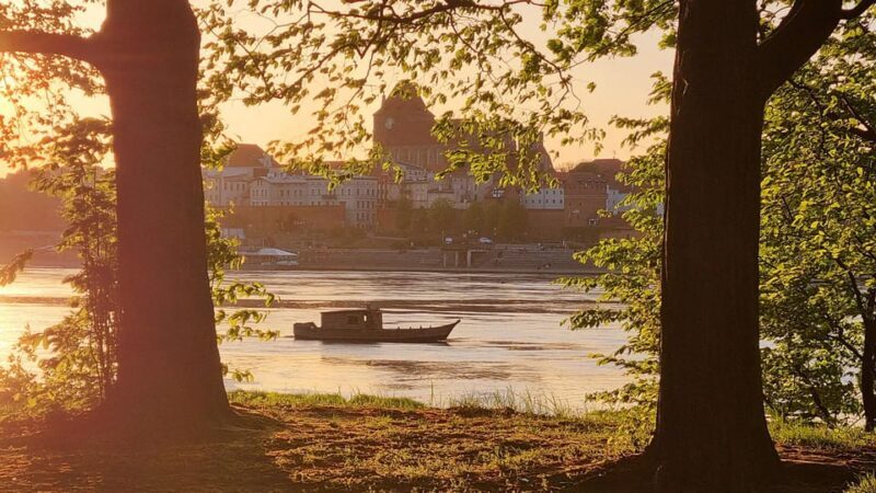 Panorama of Toru - 30-minute cruise - Details That Matter