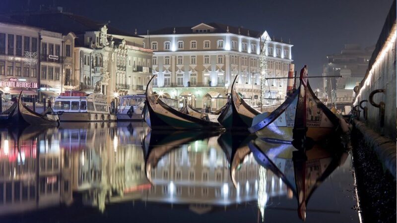 Panoramic Boat City Tour in Aveiro - What to Expect from the Aveiro Panoramic Boat Tour