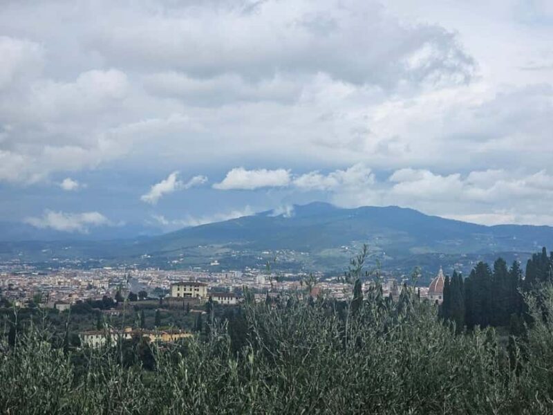 Panoramic Florence from Porta Romana to P.zzale Michelangelo - Who Would Enjoy This Tour?