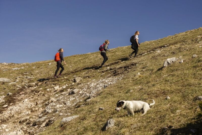 Panoramic Hike in Julian Alps - Key Points