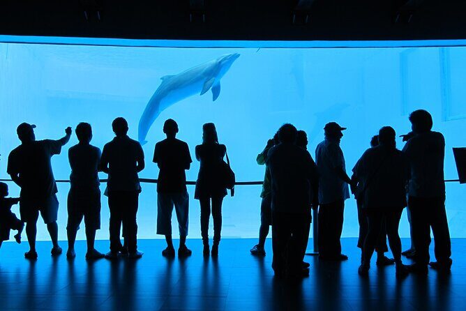 Panoramic Sightseeing Bus City Tour of Veracruz - Frequently Asked Questions