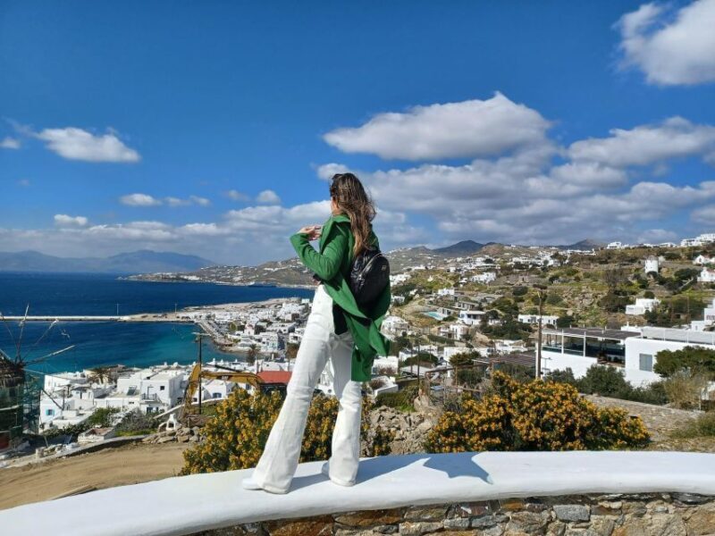 Panoramic Tour of Mykonos - Final Thoughts: Who Is This Tour For?