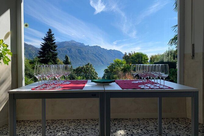 Panoramic Wine Tasting in Bellagio area - Key Points
