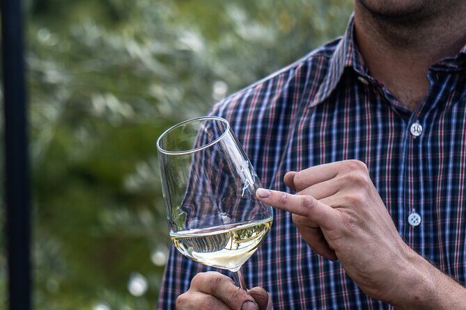 Panoramic wine tasting in Oltrepò Pavese - What You Can Expect from This Tour