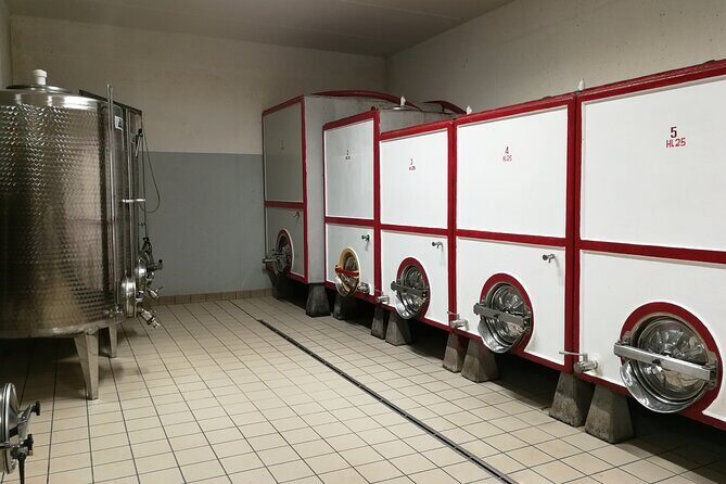 Panoramic wine tasting in Oltrepò Pavese - The Value of This Experience