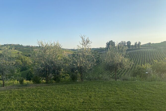 Panoramic wine tasting in Oltrepò Pavese - Final Thoughts