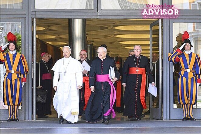 Papal Audience with Pope Leo XIV Exclusive Guided Experience - Is This Tour Worth the Price?