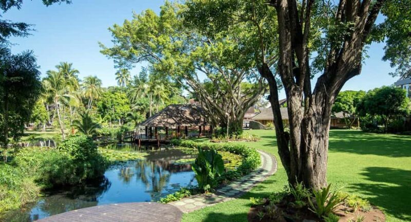 Papeete : walking tour - Practical Details: What to Expect