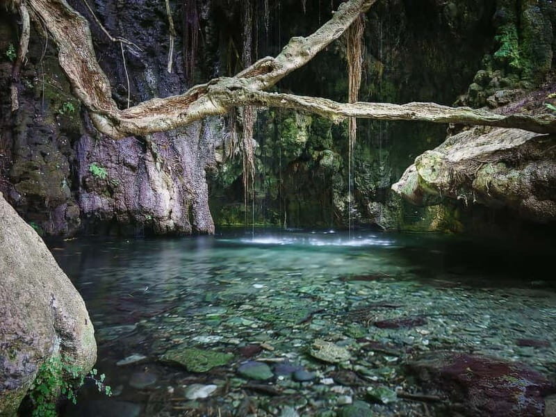 Paphos: Akamas, Baths of Aphrodite and Blue Lagoon Day Tour - Key Points