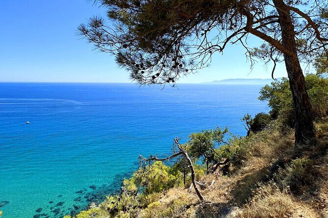 Paphos: Akamas Gorge & Turtle Bay & Donkey Farm Jeep Safari Tour - Practical Tips & Considerations