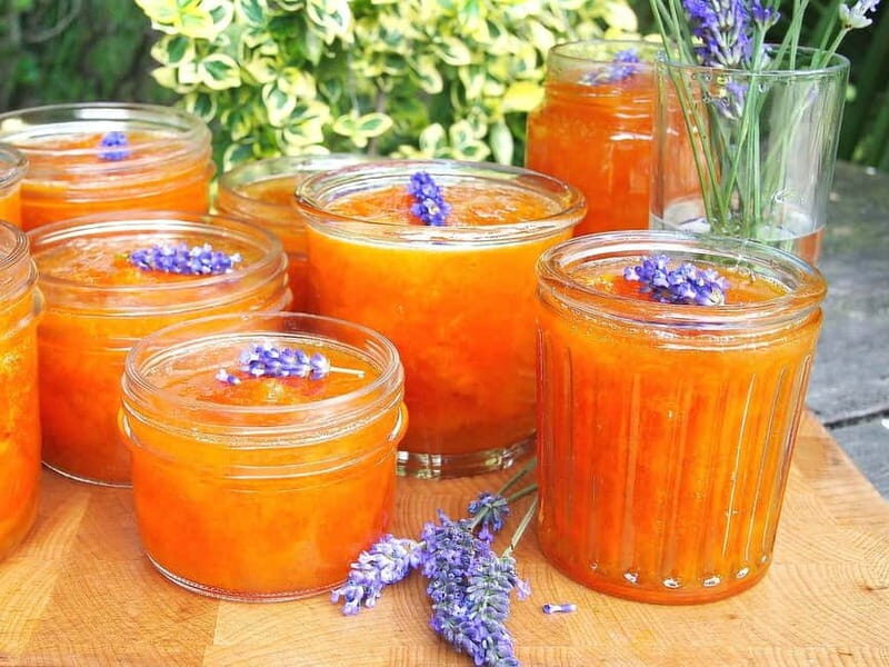 Paphos: Authentic Gourmet Tour with Wine and Food Tasting - How Good Is It Value-wise?