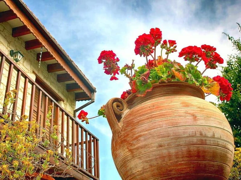 Paphos: Authentic Gourmet Tour with Wine and Food Tasting - Final Thoughts